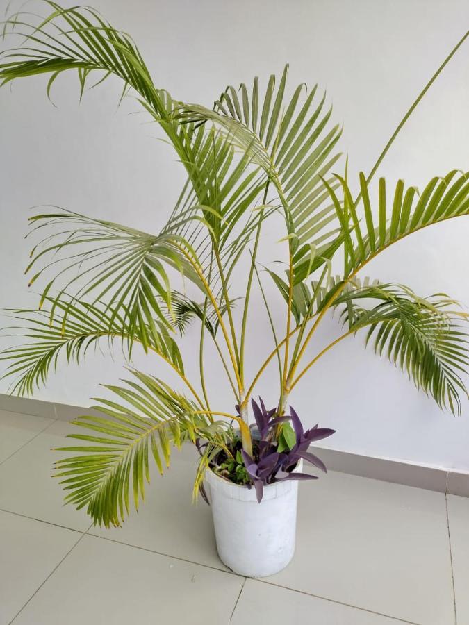 6 Park Retreat Hotel Mombasa Exterior photo